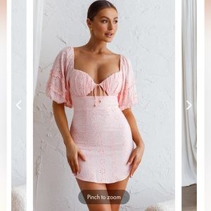 Baby Pink Selfie Leslie Dress NWT